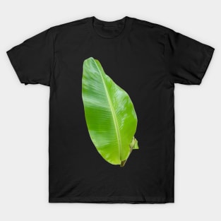 One green banana leaf cut out. T-Shirt